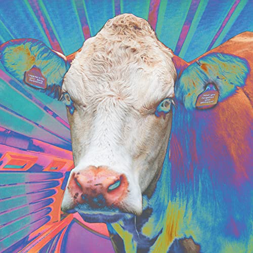 Eyes of Others Eyes of Others von Heavenly Recordings