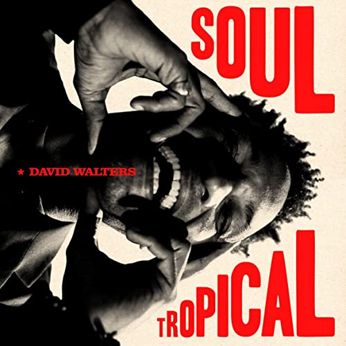 Soul Tropical (Gatefold) [Vinyl LP] von Heavenly Sweetness (Broken Silence)