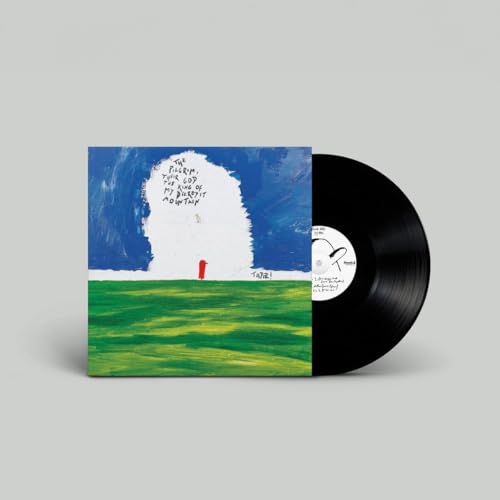 The Pilgrim, Their God and the King of My Decrepit Mountain [Vinyl LP] von Heavenly