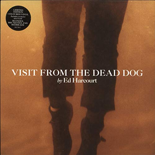 Visit from the Dead... [Vinyl Single] von Heavenly