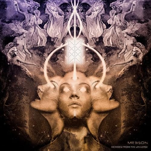 Echoes from the Universe [Vinyl LP] von Heavy Psych Sounds / Cargo