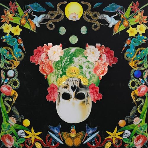 Helichrysum (Ltd. Olive Green Vinyl) [Vinyl LP] von Heavy Psych Sounds / Cargo