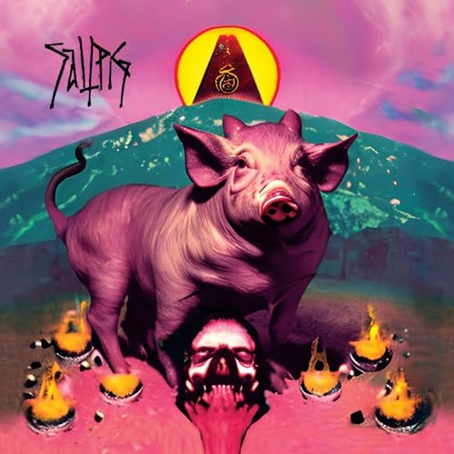 Saltpig [Vinyl LP] von Heavy Psych Sounds / Cargo