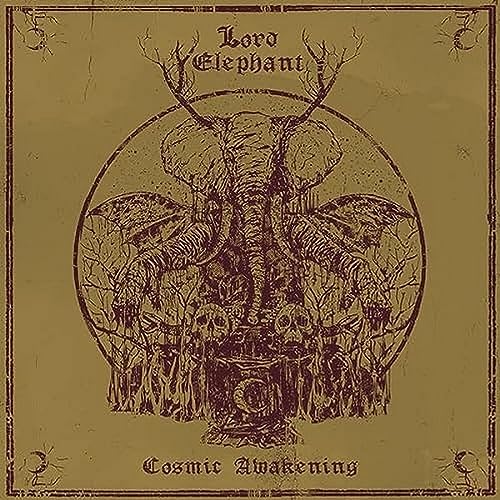 Cosmic Awakening von Heavy Psych Sounds