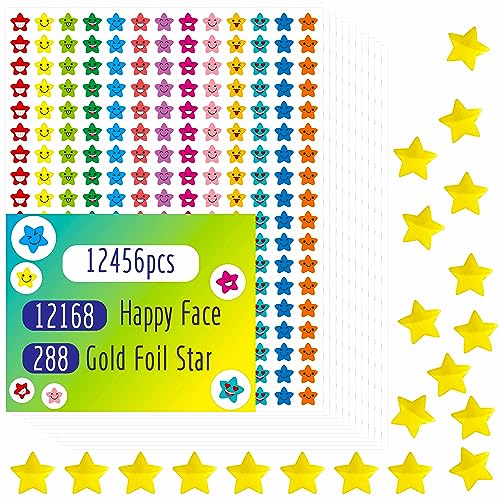 12456 Stück Stern-Aufkleber, mehr als 12100 Happy Face & 288 Goldfolien-Stern-Aufkleber in 14 Farben und 14 Designs für Belohnungsverhaltenstabelle (jeweils 1 cm) von Hebayy