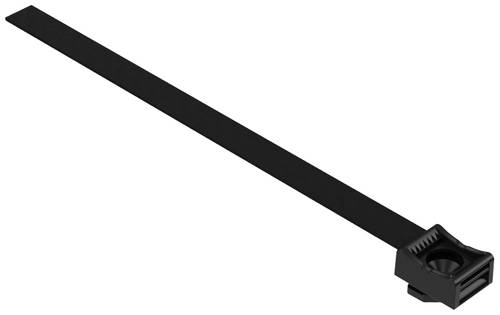 Hebotec KBS-B8M 4-20 10 Klettbandsockel 10St. von Hebotec