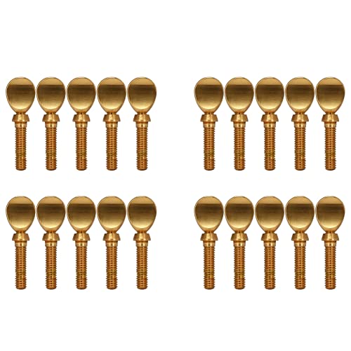 Heiikiuy Gold Kupfer Klarinette Saxophon Sax Hals Festziehen Schrauben Sopran Alto Tenor Holzblasinstrument Teile Packung mit 20 Heiikiuy Gold Kupfer Klarinette Saxophon Sax Hals Festziehen Schrauben Sopran Alto Tenor Holzblasinstrument Teile Packung mit 20 von Heiikiuy