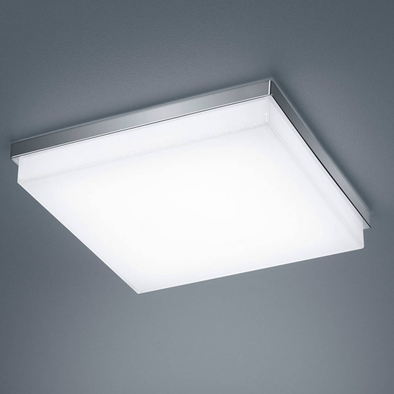 Helestra Cosi LED-Deckenleuchte chrom 31,5x31,5 cm Helestra Cosi LED-Deckenleuchte chrom 31,5x31,5 cm von Helestra
