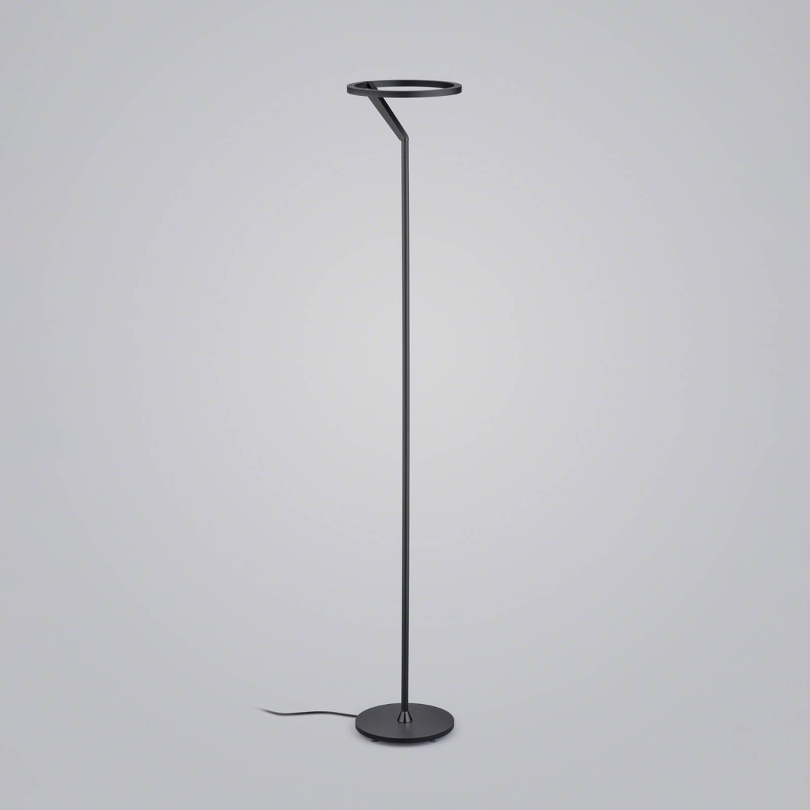 Helestra Elara LED-Stehlampe down dimmbar schwarz Helestra Elara LED-Stehlampe down dimmbar schwarz von Helestra