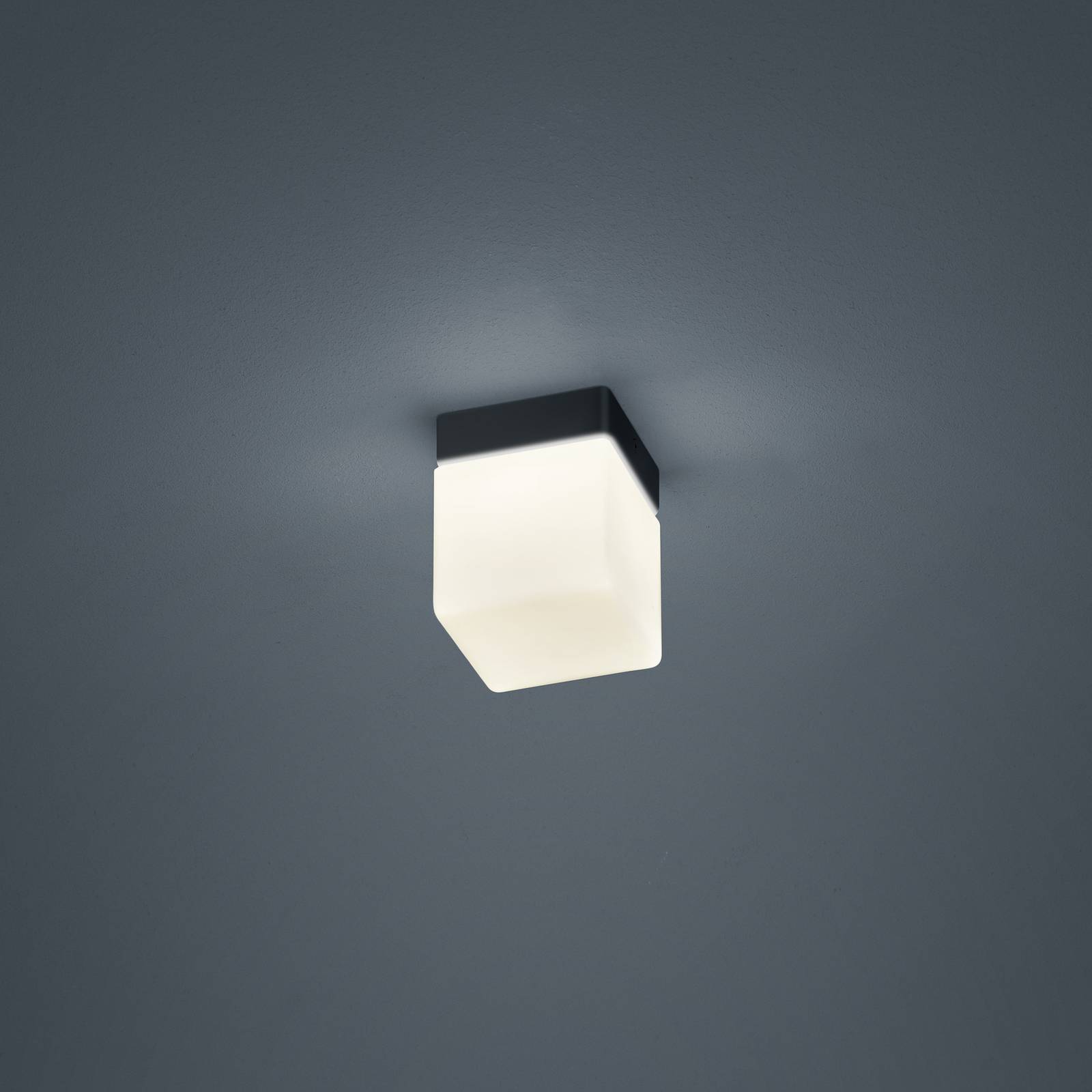 Helestra Keto LED-Deckenleuchte, Würfel, schwarz Helestra Keto LED-Deckenleuchte, Würfel, schwarz von Helestra