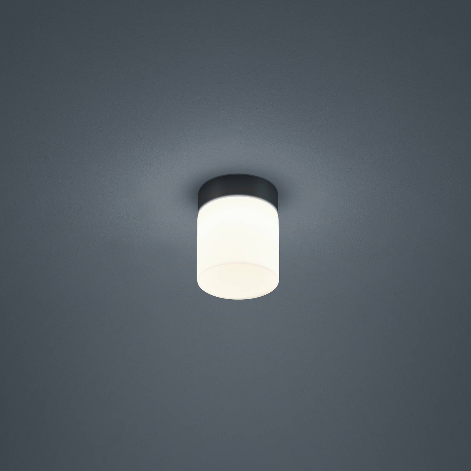 Helestra Keto LED-Deckenleuchte, Zylinder, schwarz Helestra Keto LED-Deckenleuchte, Zylinder, schwarz von Helestra