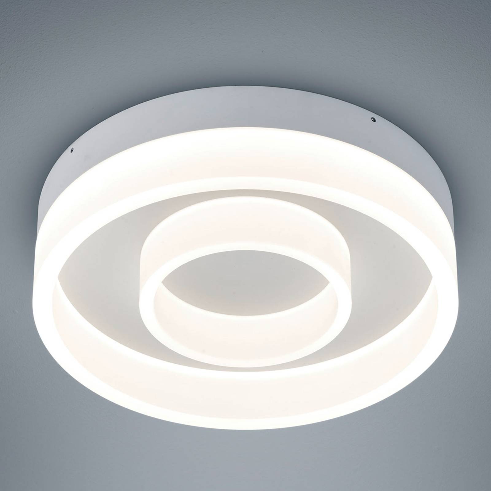 Helestra Liv - runde LED-Deckenleuchte, Ø 30cm Helestra Liv - runde LED-Deckenleuchte, Ø 30cm von Helestra