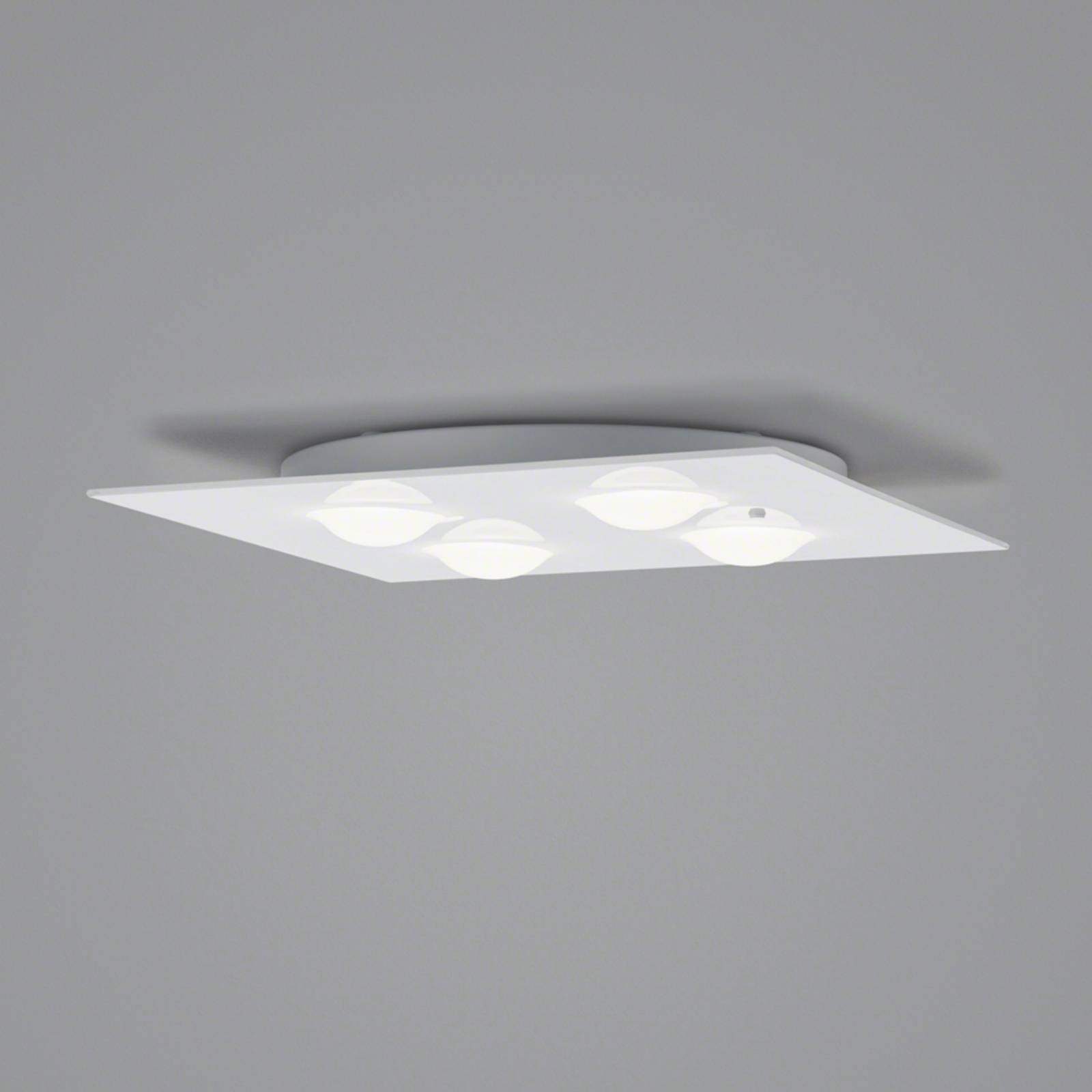 Helestra Nomi LED-Deckenleuchte 38x38cm dim weiß von Helestra