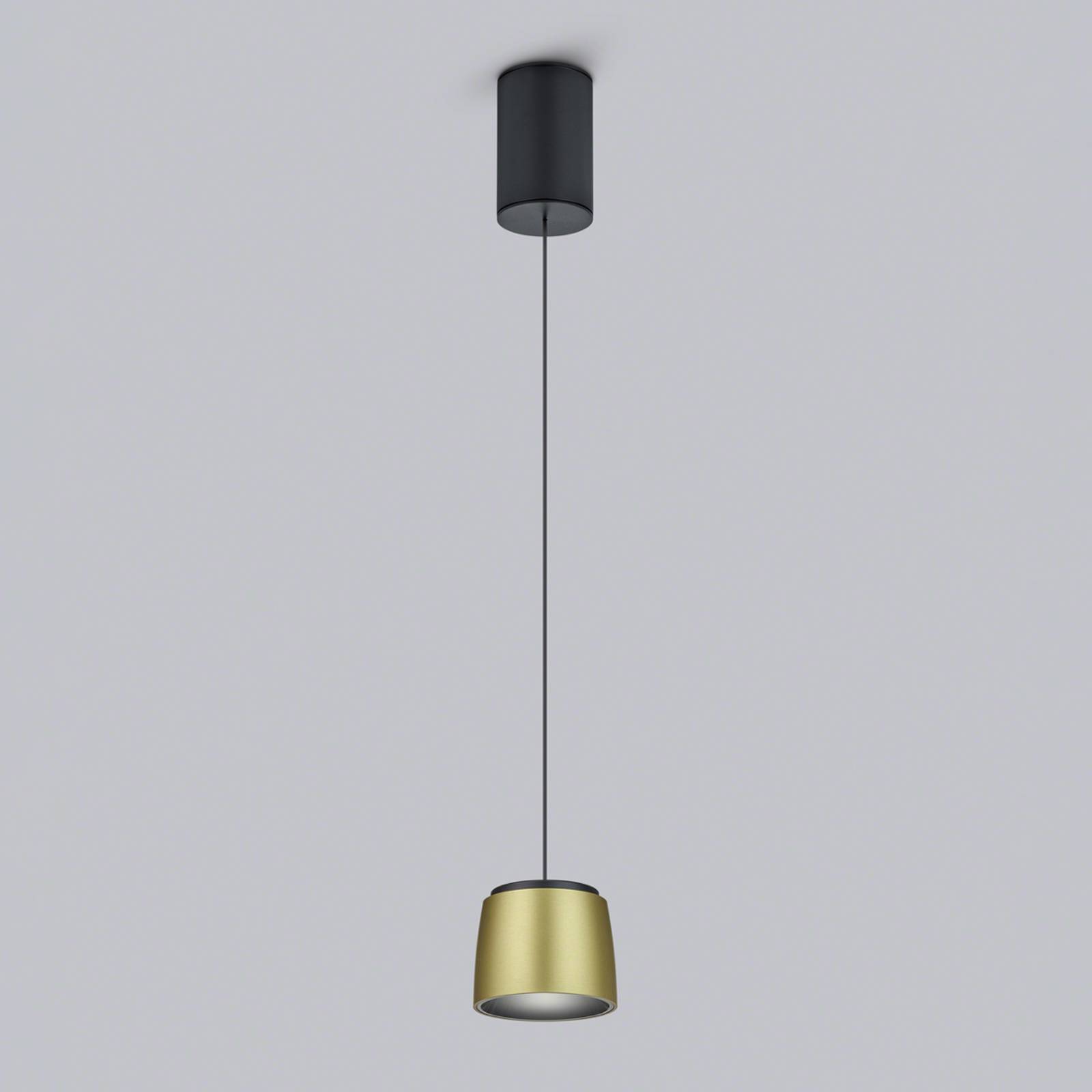 Helestra Ove LED-Hängeleuchte Ø9,5cm gold-schwarz von Helestra
