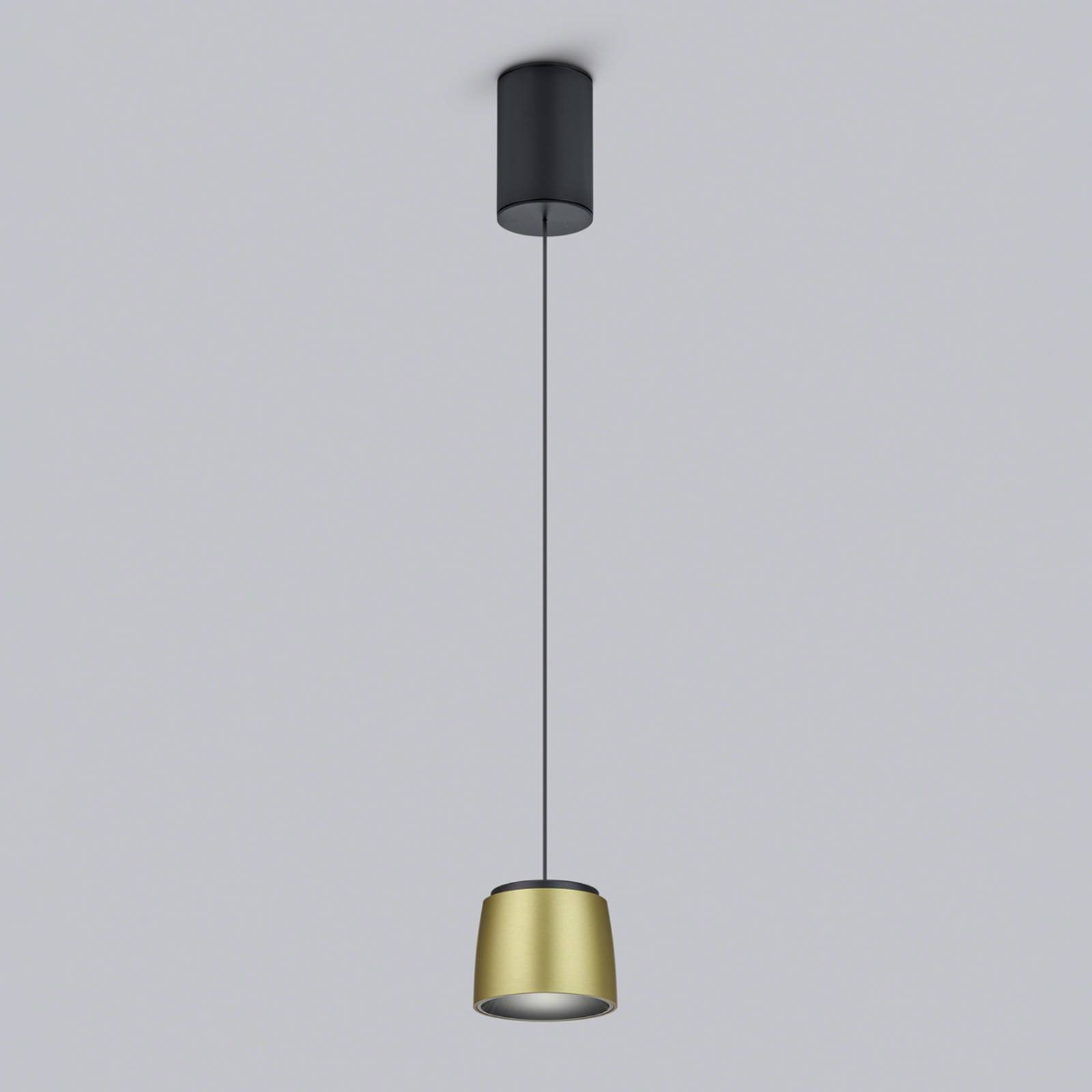 Helestra Ove LED-Hängeleuchte Ø9,5cm gold-schwarz Helestra Ove LED-Hängeleuchte Ø9,5cm gold-schwarz von Helestra