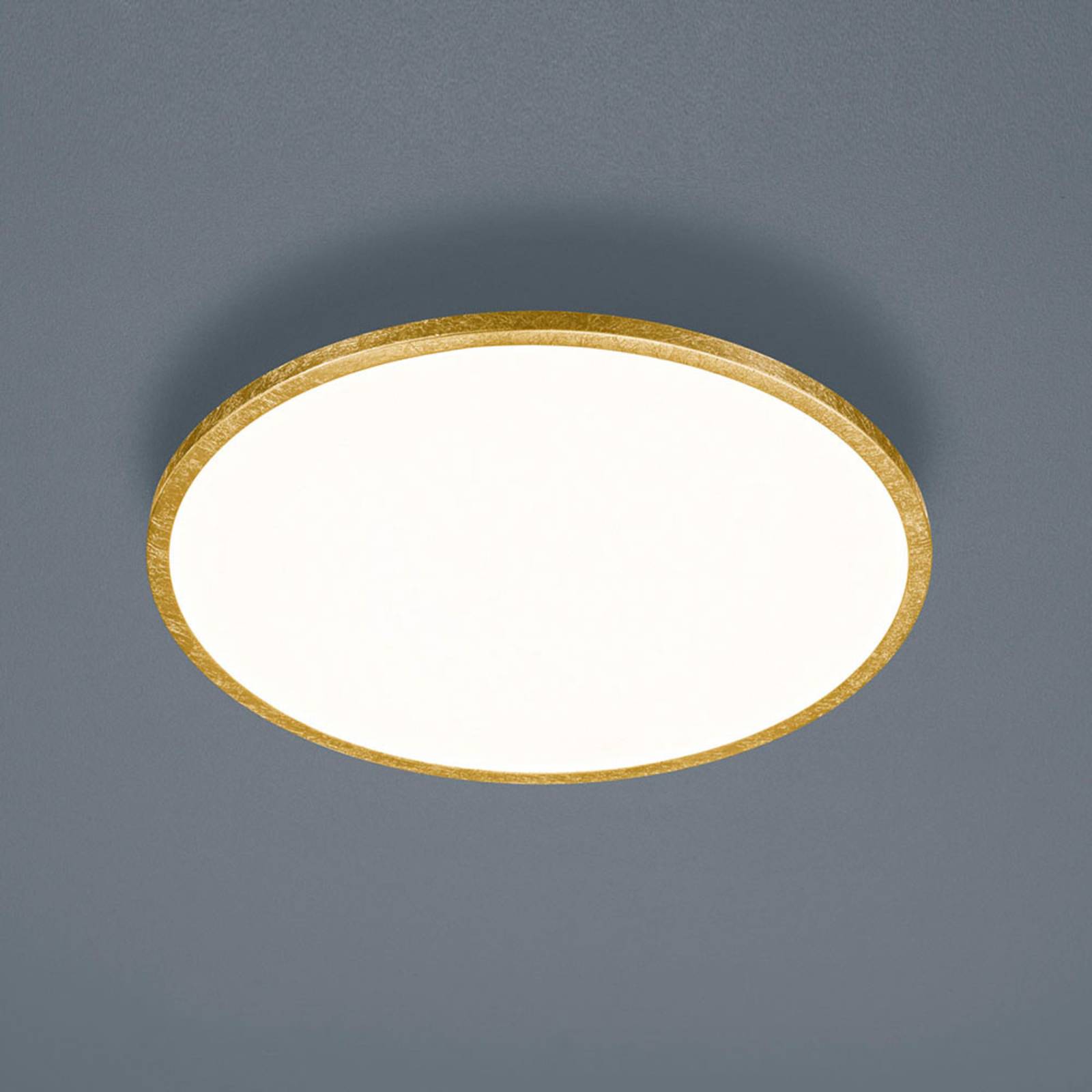 Helestra Rack LED-Deckenlampe dimmbar rund gold Helestra Rack LED-Deckenlampe dimmbar rund gold von Helestra