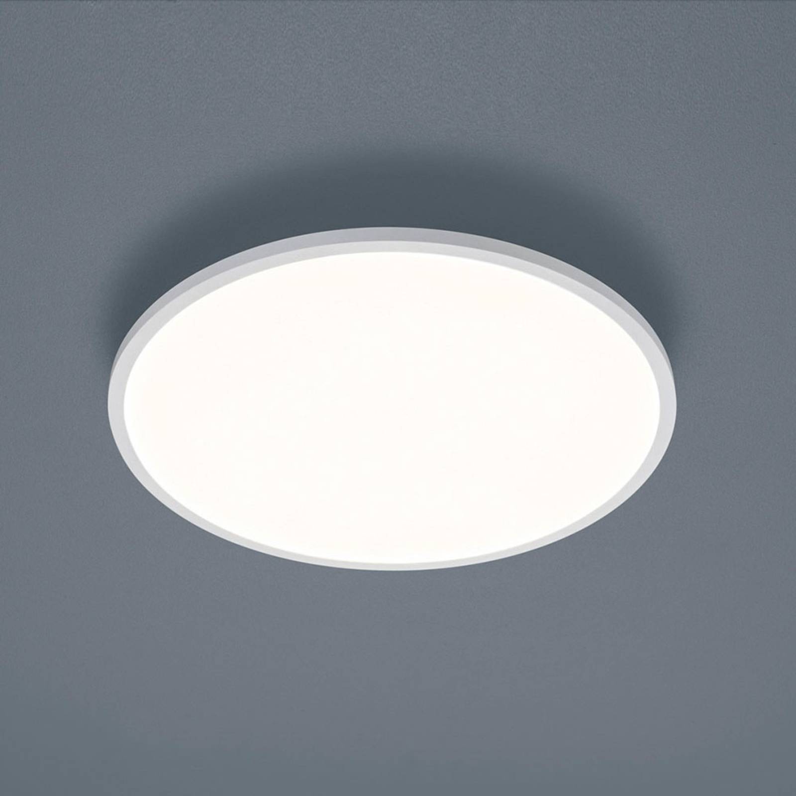 Helestra Rack LED-Deckenlampe dimmbar rund weiß Helestra Rack LED-Deckenlampe dimmbar rund weiß von Helestra
