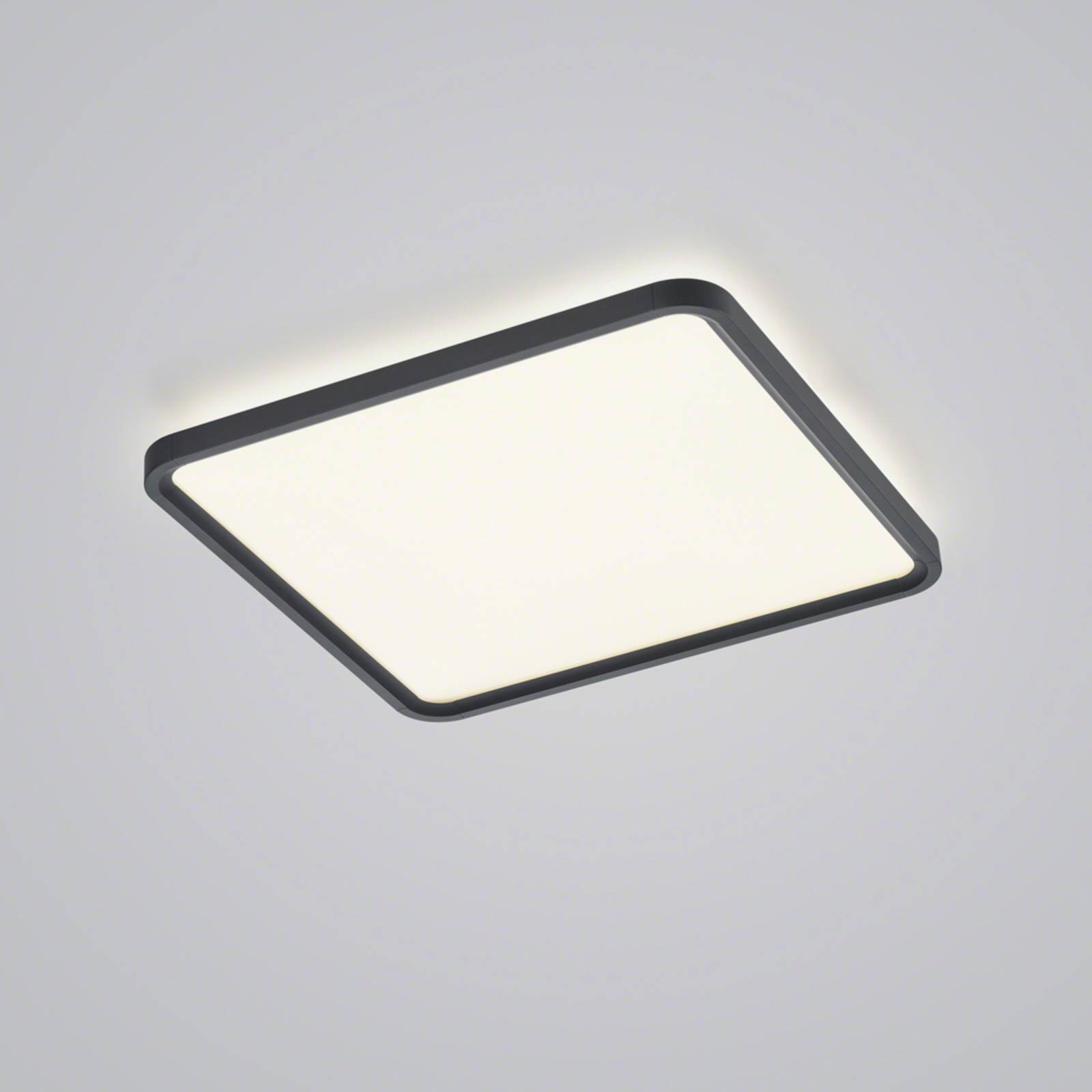 Helestra Vesp LED-Panel Backlight 61x61cm schwarz von Helestra