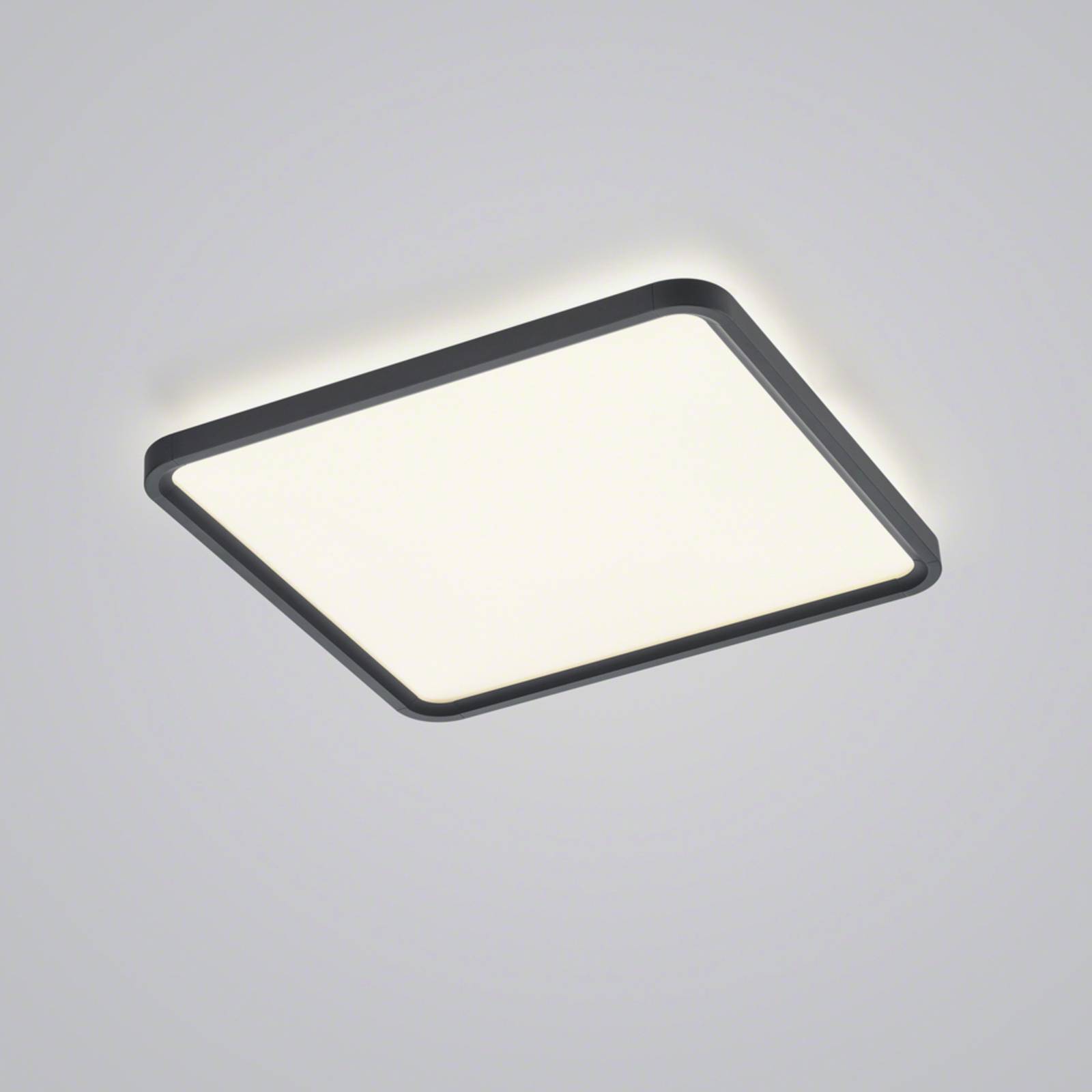 Helestra Vesp LED-Panel Backlight 61x61cm schwarz Helestra Vesp LED-Panel Backlight 61x61cm schwarz von Helestra