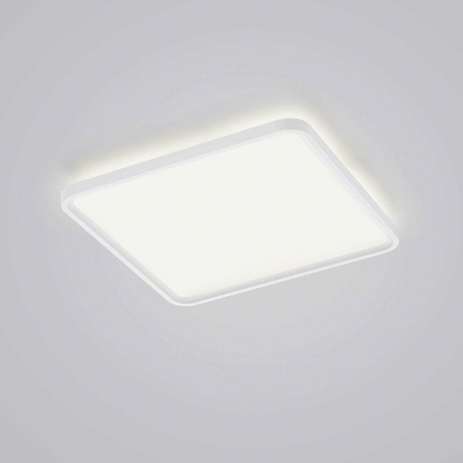 Helestra Vesp LED-Panel Backlight 61x61cm weiß Helestra Vesp LED-Panel Backlight 61x61cm weiß von Helestra