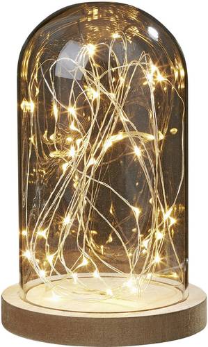 Hellum 523713 Dekoleuchte LED Warmweiß Transparent, Holz von Hellum