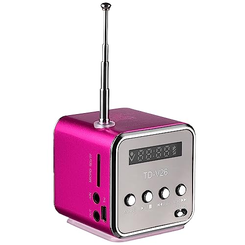 Hemobllo Mini Lautsprecher - Tragbares Lautsprecher mit Radio, LED Anzeige, USB Anschluss, Micro SD Kartensteckplatz, Kopfhöreranschluss, Kleiner Kabelloser Lautsprecher von Hemobllo