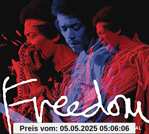 Live at the Atlanta Pop Festival von Jimi Hendrix Experience