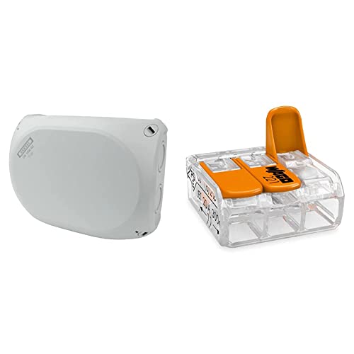 Kabelabzweigkasten DK 1000 GZ ohne Klemme IP66 Abzweigdose Verbindungsdose Feuchtraum Leergehäuse Hensel 5471 Grau & WAGO® Klemme, 3-Leiter, 4 mm², Verbindungsklemmen mit Hebel, 221-413 (50 Stück) von Hensel