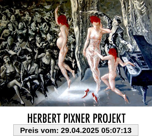 Live im Konzerthaus in Wien 2013 von Herbert Pixner Projekt