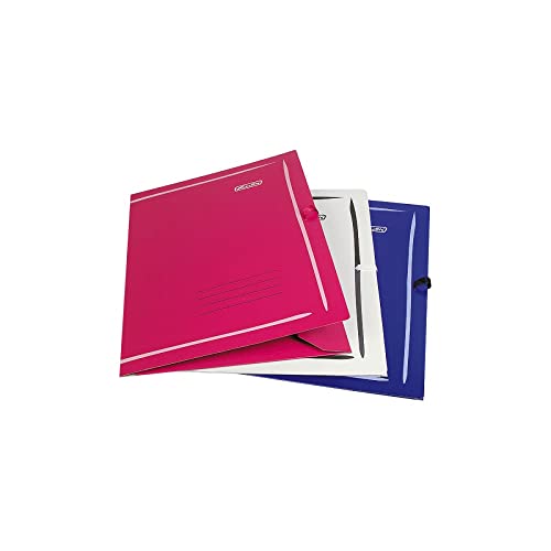 Herlitz® Aktentasche A3 Umgebunden Zeichnung | Ordner Organizer Schutz | Praktisches Etikett | Universal | Für Büro Schulschule Studium | Farbmix von Herlitz