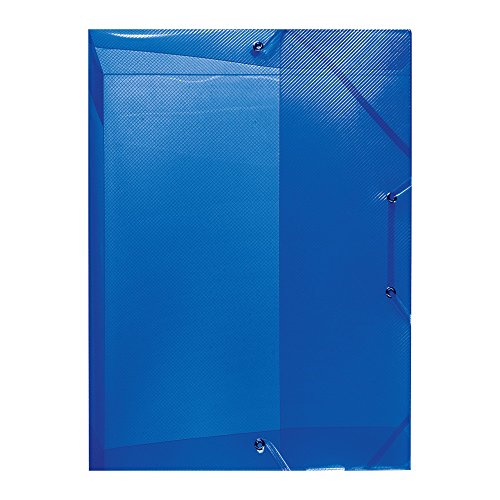 Herlitz 1948686 Heftbox A4, Rückenbreite 4 cm, PP, transluzent blau von Herlitz