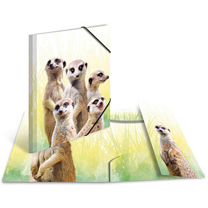 3 HERMA Sammelmappen DIN A4 Erdmännchen 3 HERMA Sammelmappen DIN A4 Erdmännchen von Herma