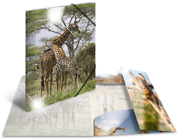 HERMA Eckspannermappe , Giraffe, , PP Glossy, DIN A4 von Herma