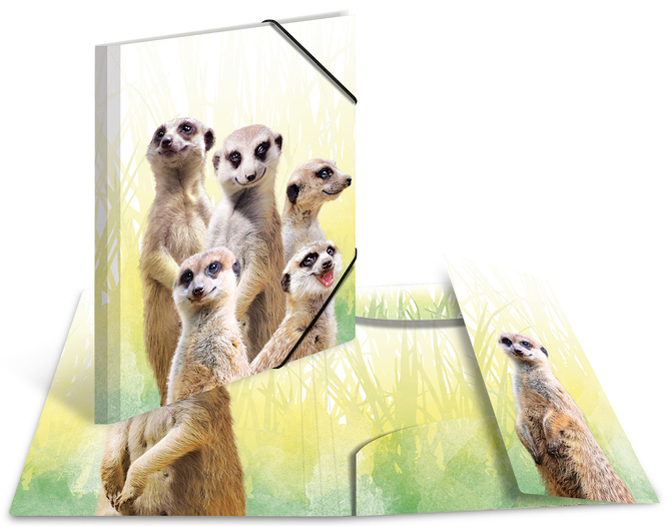 HERMA Eckspannermappe Exotische Tiere, A4, Erdmännchentruppe HERMA Eckspannermappe Exotische Tiere, A4, Erdmännchentruppe von Herma