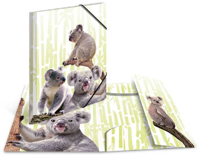 HERMA Eckspannermappe Exotische Tiere, A4, Koalafamilie von Herma