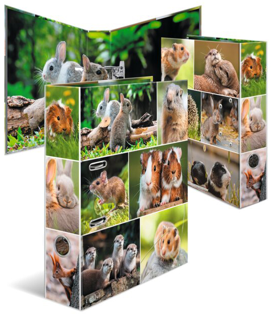HERMA Motivordner , Tierwelten, , DIN A4, Nagetiere HERMA Motivordner , Tierwelten, , DIN A4, Nagetiere von Herma