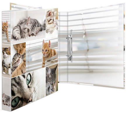 HERMA Ringbuch , Animals, - Katzen, DIN A4, 2-Ring-Mechanik HERMA Ringbuch , Animals, - Katzen, DIN A4, 2-Ring-Mechanik von Herma