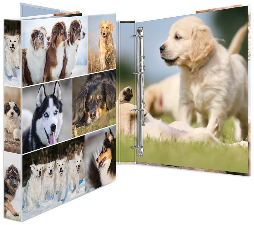HERMA Ringbuch , Hunde, , DIN A4, 4-Ring-Mechanik HERMA Ringbuch , Hunde, , DIN A4, 4-Ring-Mechanik von Herma