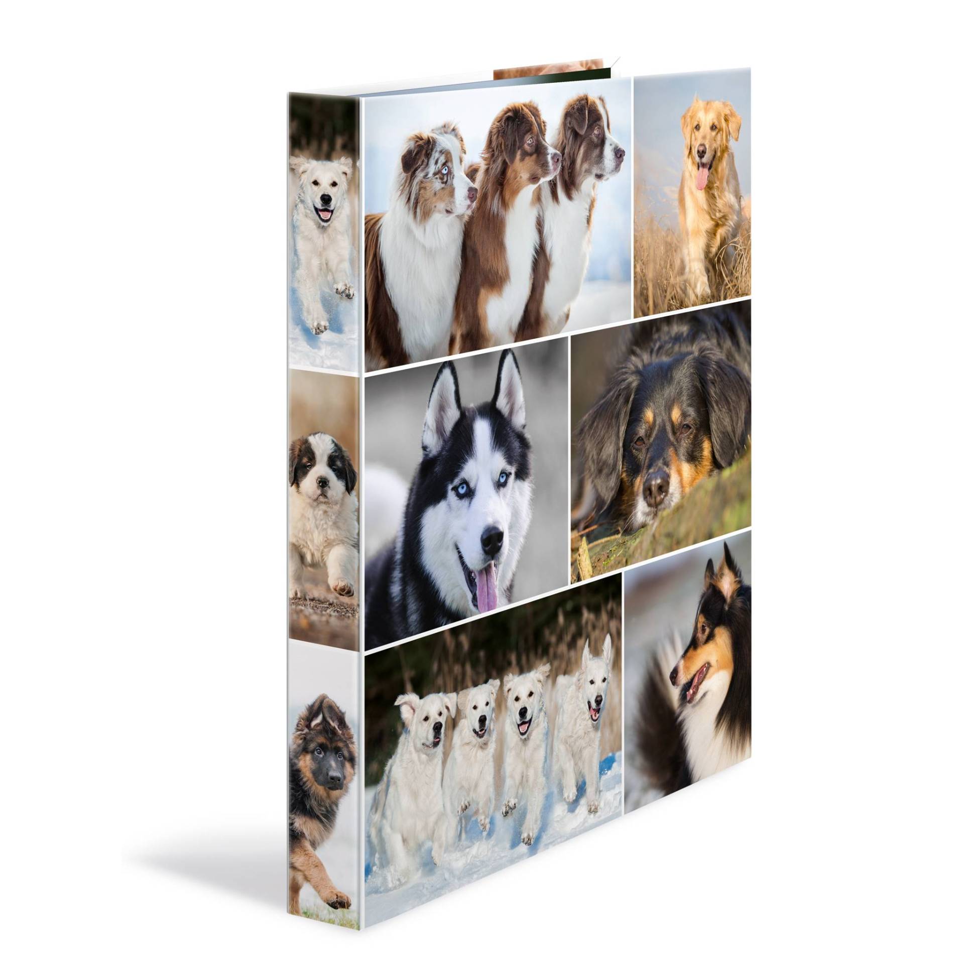 HERMA Ringbuch A4 Hunde 4D HERMA Ringbuch A4 Hunde 4D von Herma