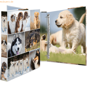 HERMA Ringbuch A4 Karton 4 Ringe Hunde HERMA Ringbuch A4 Karton 4 Ringe Hunde von Herma