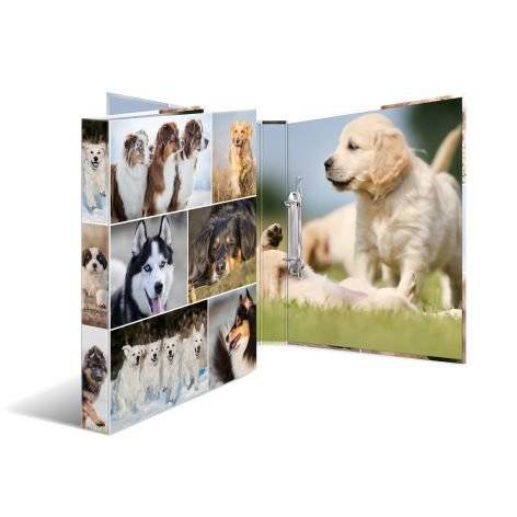 HERMA Ringbuch A4 Pferde 2D HERMA Ringbuch A4 Pferde 2D von Herma