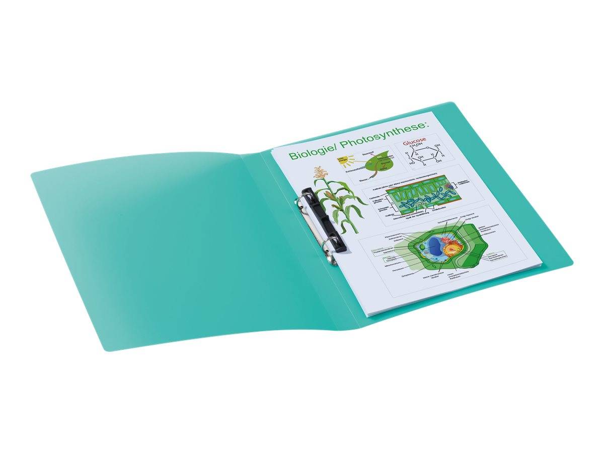 HERMA Ringbuch A4 uni türkis HERMA Ringbuch A4 uni türkis von Herma