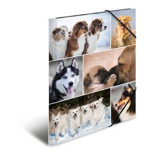 HERMA Sammelmappe A4 Hunde Pappe HERMA Sammelmappe A4 Hunde Pappe von Herma