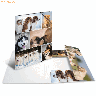 HERMA Sammelmappe A4 Pappe Hunde HERMA Sammelmappe A4 Pappe Hunde von Herma