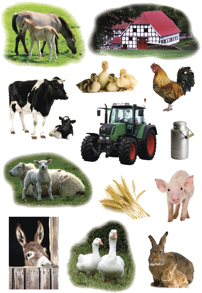 HERMA Sticker DECOR , Bauernhoftiere Foto, von Herma