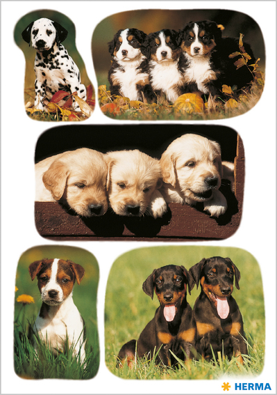 HERMA Sticker DECOR , Hundewelpenfotos, von Herma