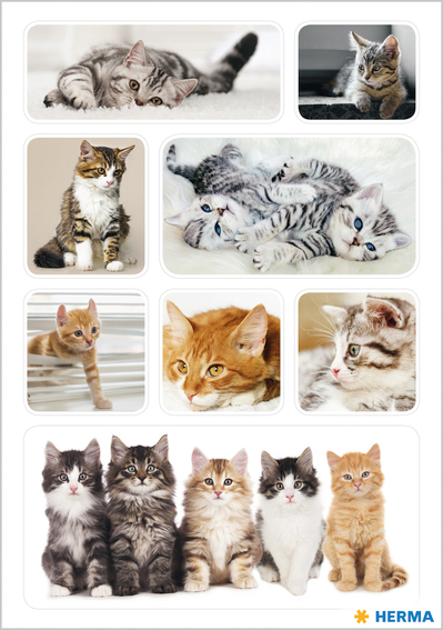 HERMA Sticker DECOR , Katzenkinder, HERMA Sticker DECOR , Katzenkinder, von Herma
