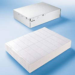 HERMA Universal-Etiketten DATAPRINT, 203 x 297 mm, weiß von Herma