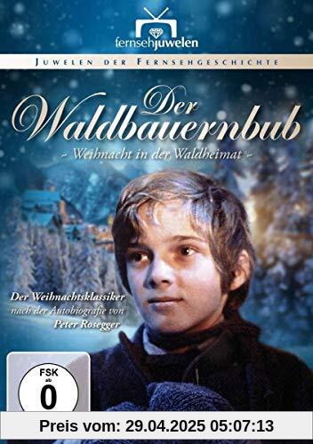 Der Waldbauernbub - Weihnacht in der Waldheimat von Hermann Leitner
