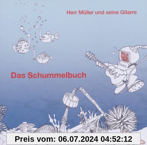 Das Schummelbuch von Herr Müller und seine Gitarre